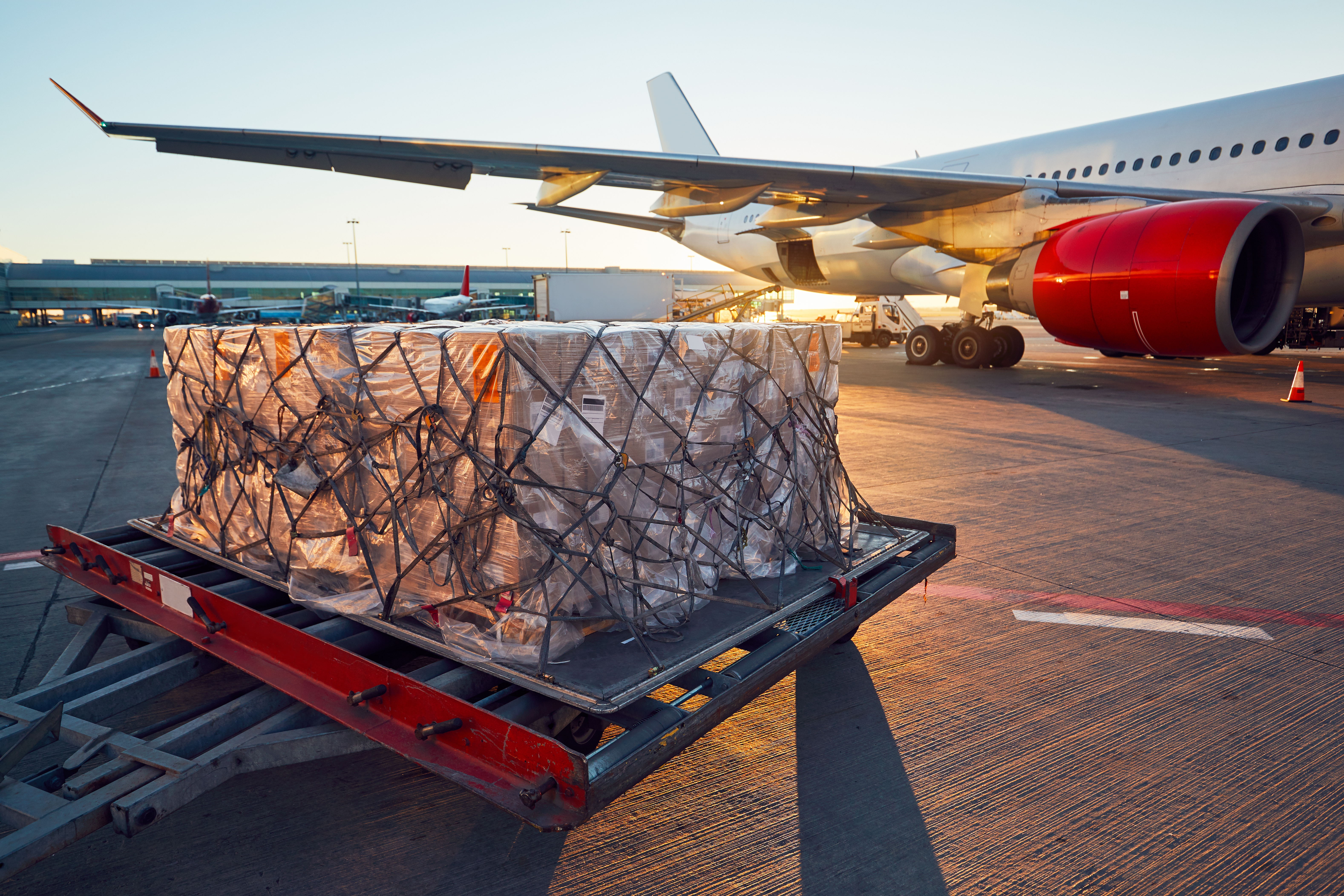 Air Cargo and Logistics Growth Trends in India